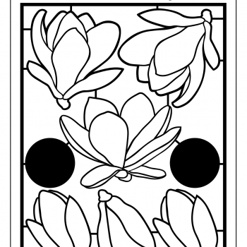 Magnificent Magnolias - Flowers Chippie